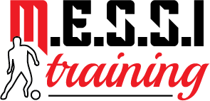 logo M.E.S.S.I. Training